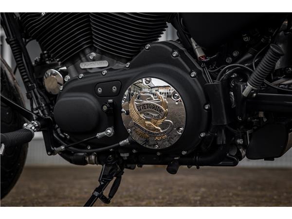 Harley-Davidson XL1200CX Sportster Roadster - PENZL V2