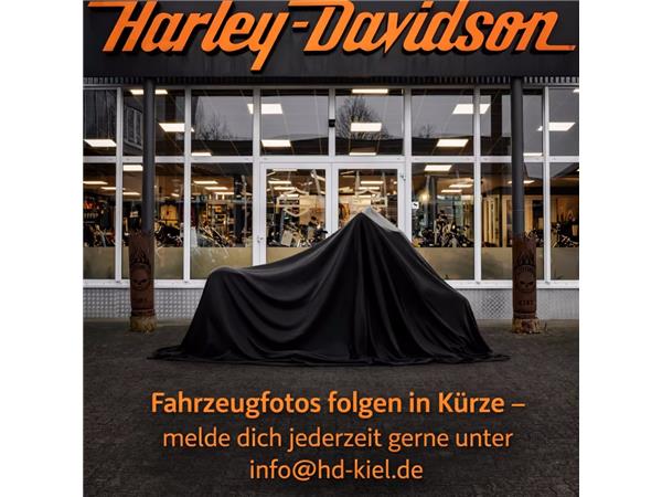 Harley-Davidson XL883N - Iron - seltenes Neufahrzeug (Tageszul.)