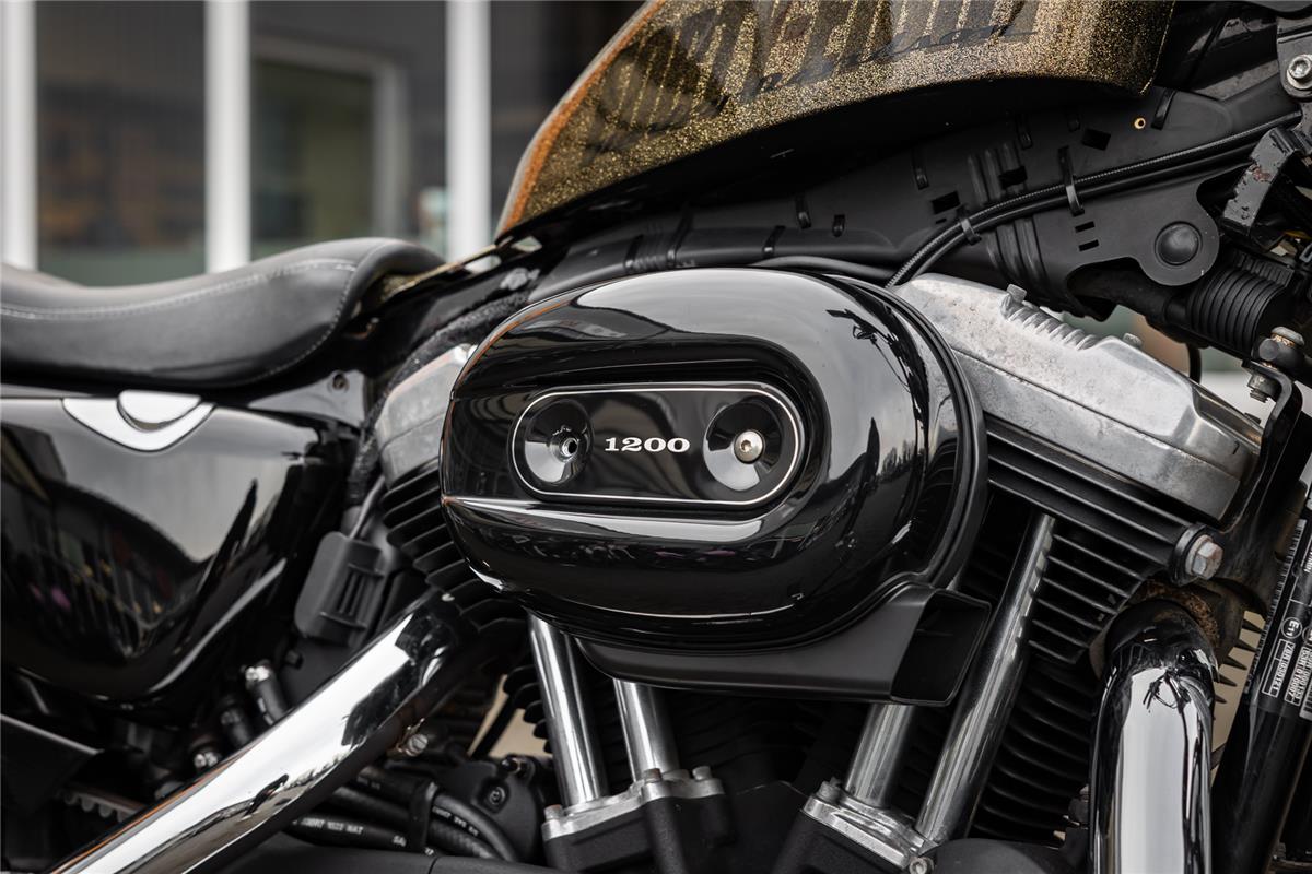 Harley-Davidson XL1200X SPORTSTER FORTY-EIGHT - Miller Auspuff -