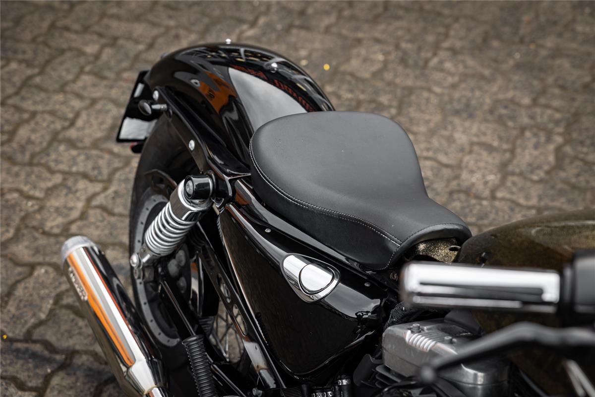 Harley-Davidson XL1200X SPORTSTER FORTY-EIGHT - Miller Auspuff -