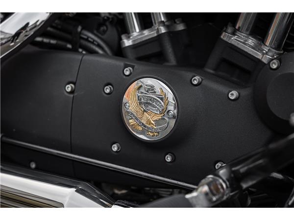 Harley-Davidson XL1200X SPORTSTER FORTY-EIGHT - Miller Auspuff -