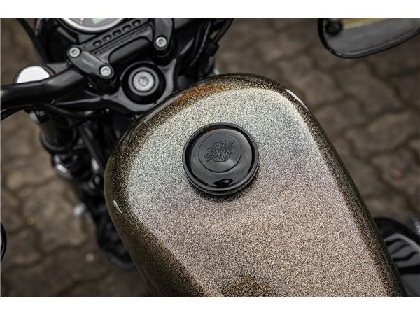 Harley-Davidson XL1200X SPORTSTER FORTY-EIGHT - Miller Auspuff -