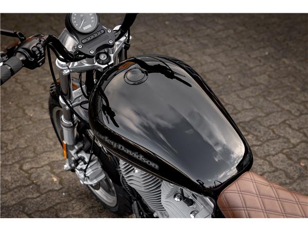 Harley-Davidson XL883L SUPERLOW SPORTSTER - MILLER ABGASANLAGE