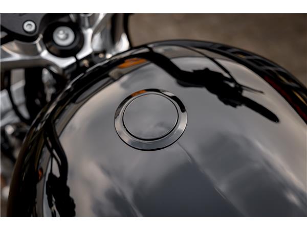 Harley-Davidson XL883L SUPERLOW SPORTSTER - MILLER ABGASANLAGE