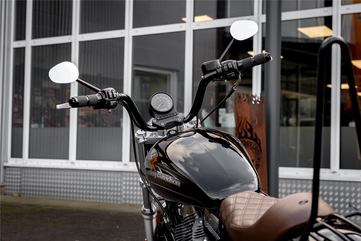 Harley-Davidson XL883L SUPERLOW SPORTSTER - MILLER ABGASANLAGE