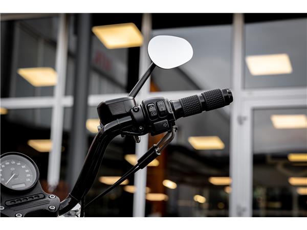 Harley-Davidson XL883L SUPERLOW SPORTSTER - MILLER ABGASANLAGE