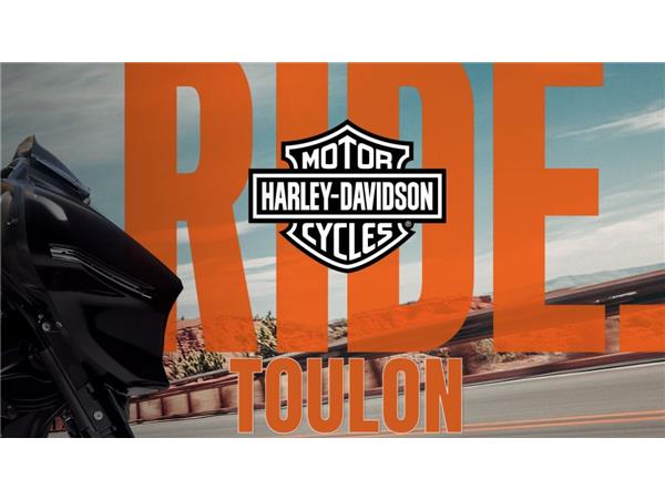 2015 HARLEY-DAVIDSON CUSTOM
