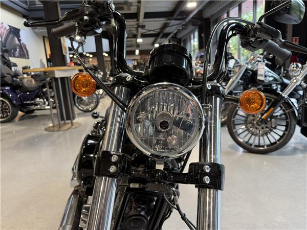 2019 HARLEY-DAVIDSON SPORTSTER 1200