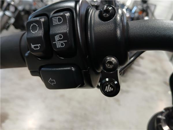 2020 HARLEY-DAVIDSON LOW RIDER