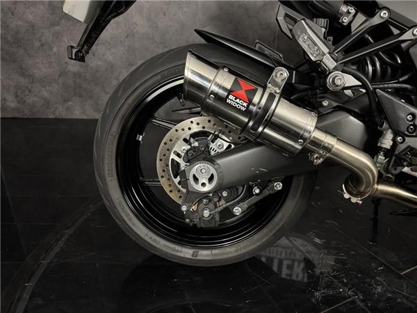 2024 Kawasaki Ninja 1000SX