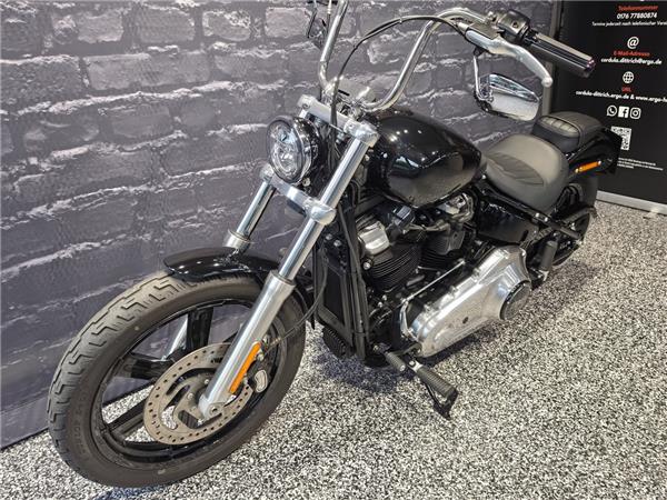 Softail Standard 
