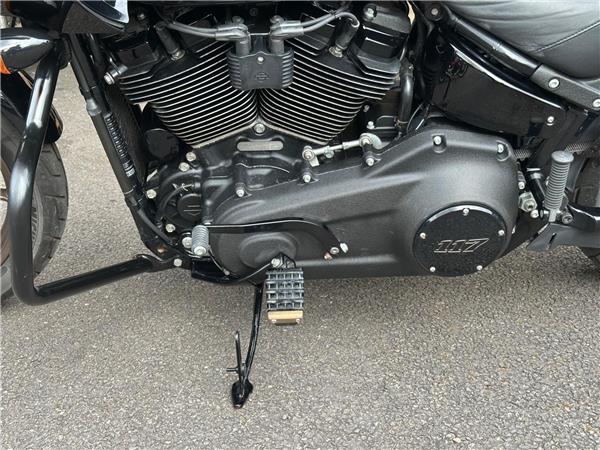 2022 Harley-Davidson Softail