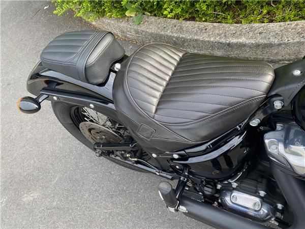 2019 HARLEY-DAVIDSON SLIM