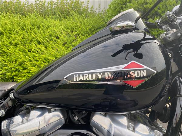 2019 HARLEY-DAVIDSON SLIM