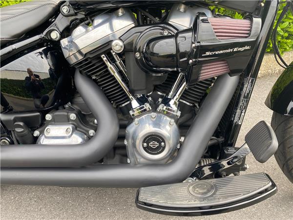 2019 HARLEY-DAVIDSON SLIM