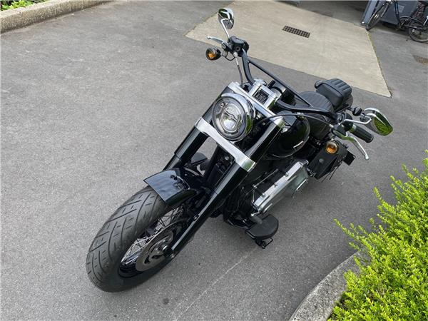 2019 HARLEY-DAVIDSON SLIM