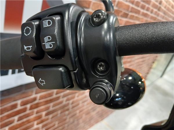 2023 HARLEY-DAVIDSON STREET BOB