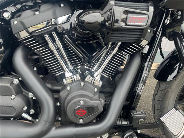 2025 HARLEY-DAVIDSON LOW RIDER ST