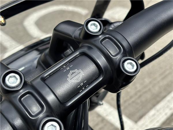 2022 HARLEY-DAVIDSON SOFTAIL FXFBS FAT BOB 114