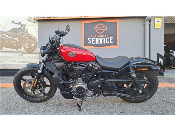 2023 Nightster
