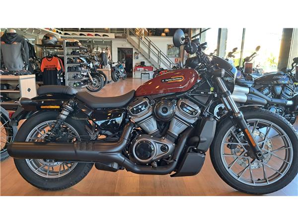 2024 Nightster Special