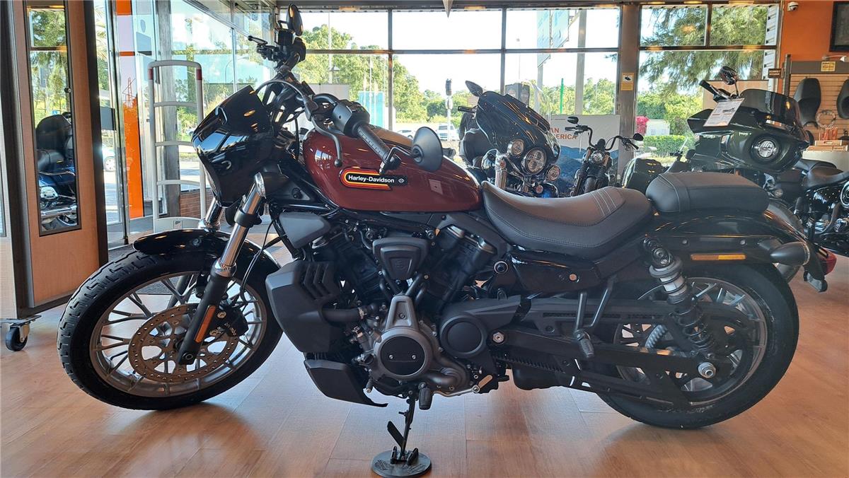 2024 Nightster Special