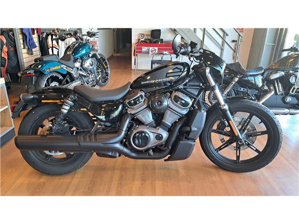 2022 Nightster