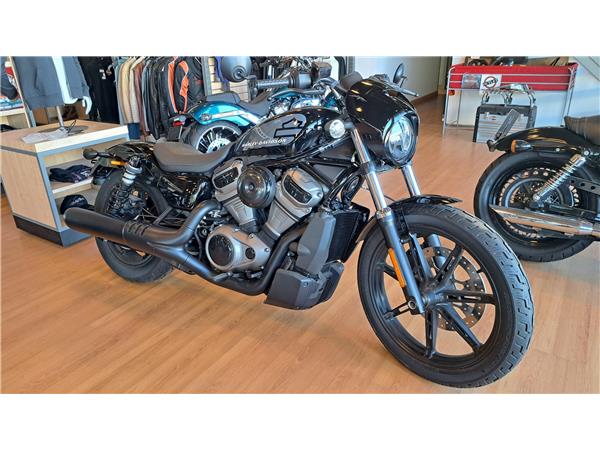 2022 Nightster