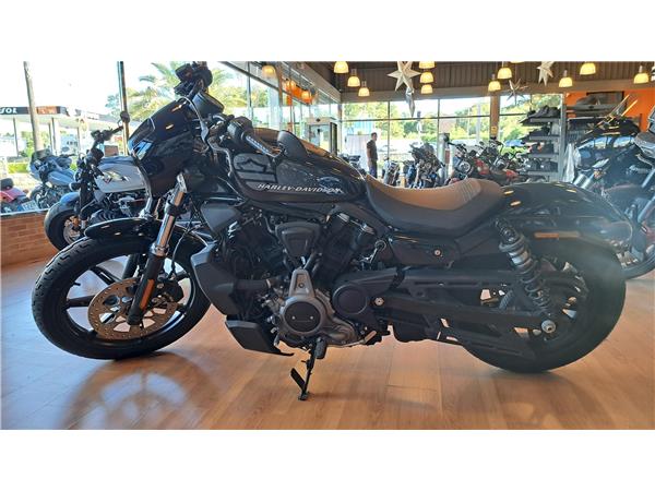2022 Nightster