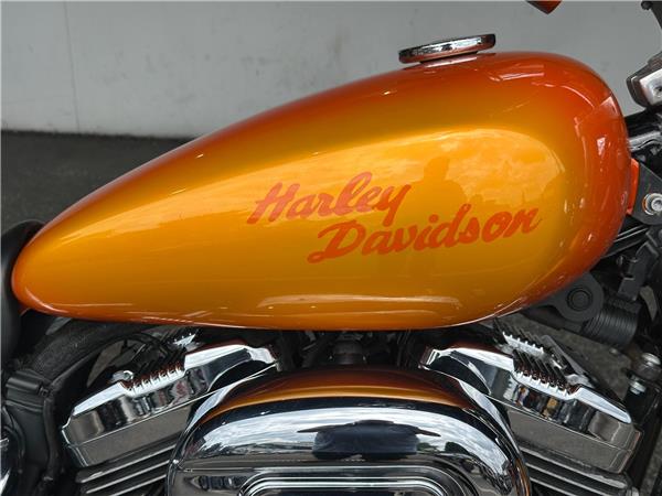 2008 Harley-Davidson Sportster