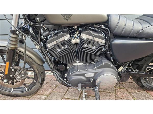 XL883N SPORTSTER IRON 883 