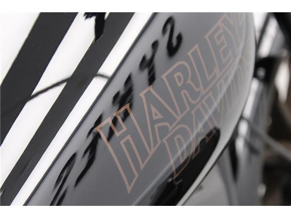 2021 Harley-Davidson Low Rider S