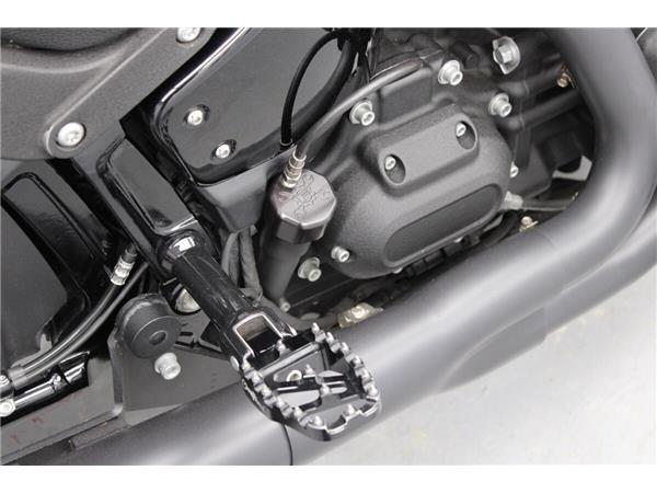 2021 Harley-Davidson Low Rider S