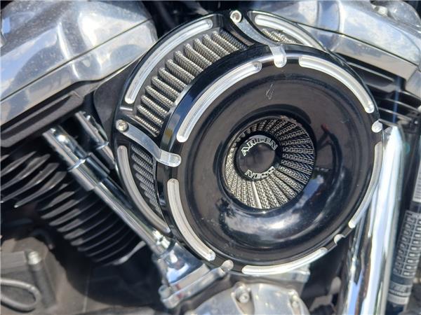 2018 HARLEY-DAVIDSON SLIM