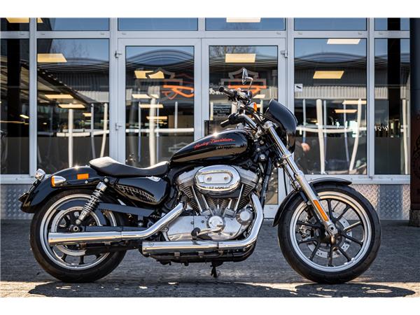 Harley-Davidson XL883L Superlow - A2 TAUGLICH - FALCON