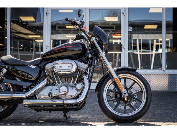 Harley-Davidson XL883L Superlow - A2 TAUGLICH - FALCON