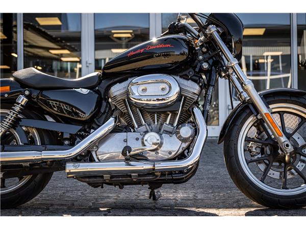 Harley-Davidson XL883L Superlow - A2 TAUGLICH - FALCON