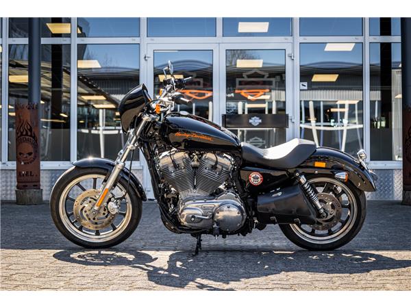 Harley-Davidson XL883L Superlow - A2 TAUGLICH - FALCON