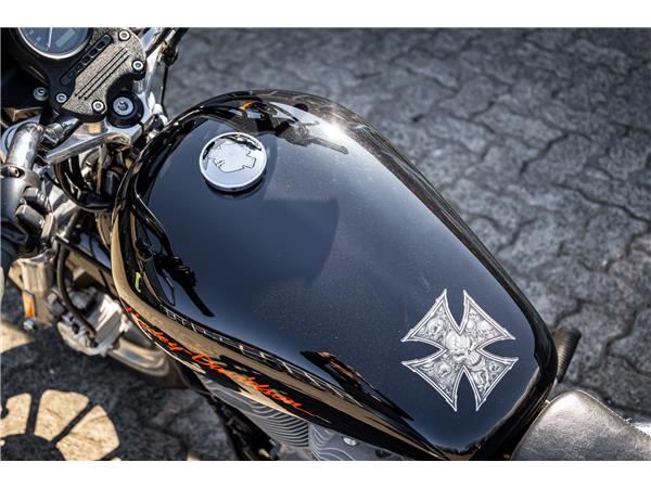 Harley-Davidson XL883L Superlow - A2 TAUGLICH - FALCON