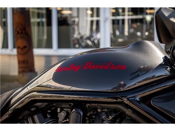 HARLEY-DAVIDSON NIGHT ROD SPECIAL VRSCDX