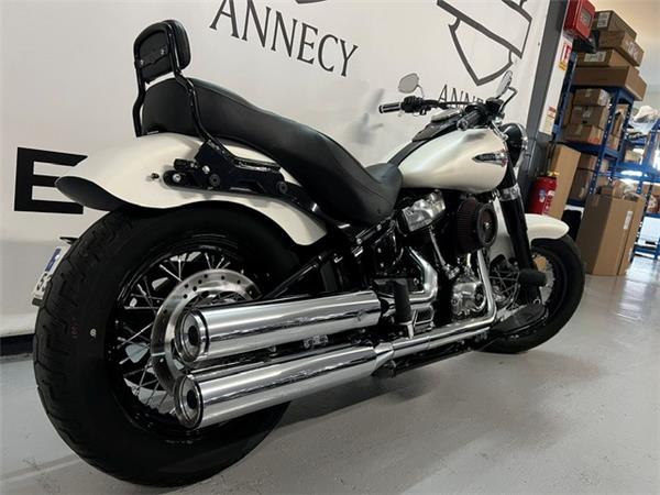 2019 HARLEY-DAVIDSON SLIM