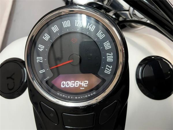 2019 HARLEY-DAVIDSON SLIM