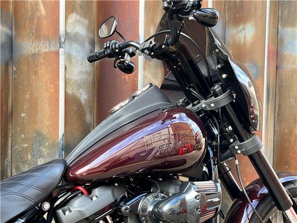 2021 Harley-Davidson Softail