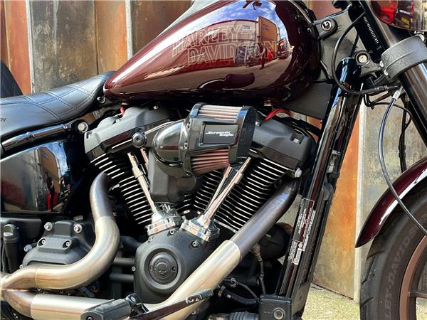 2021 Harley-Davidson Softail