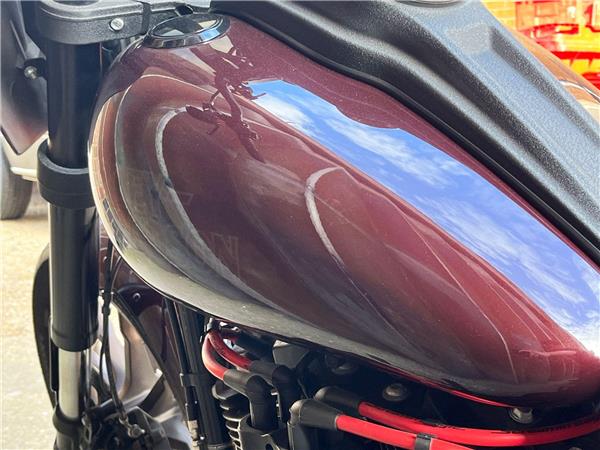 2021 Harley-Davidson Softail