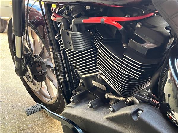 2021 Harley-Davidson Softail