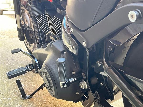 2021 Harley-Davidson Softail
