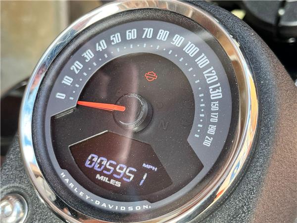 2021 Harley-Davidson Softail