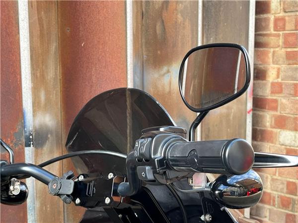 2021 Harley-Davidson Softail