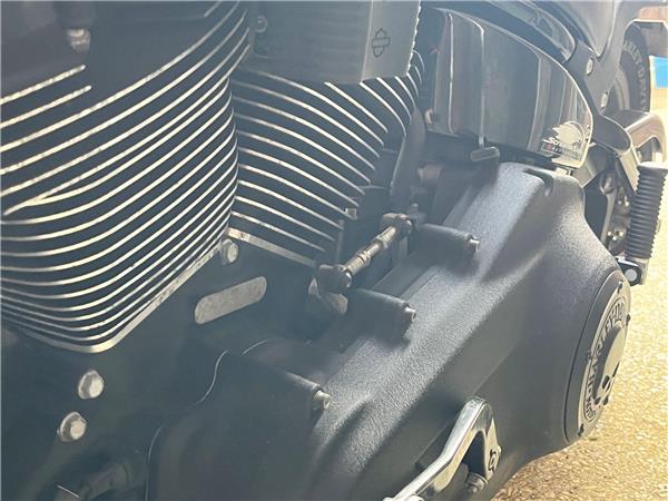 2021 Harley-Davidson Softail